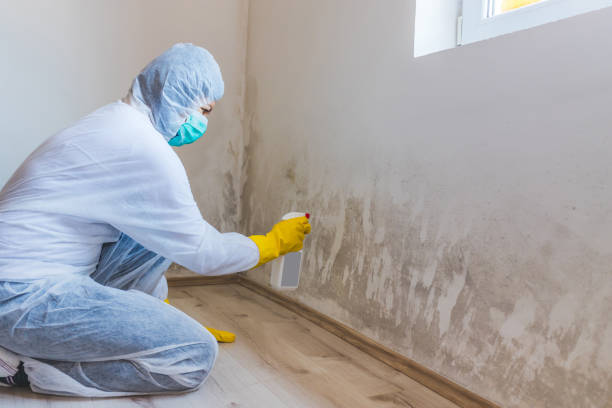 Licensed Commercial Mold Remediation service in Paxinos, PA - WQB Mold Removal