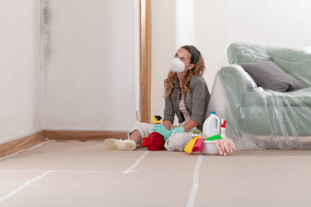 Reliable Commercial Mold Remediation contractor in Paxinos, PA by WQB Mold Removal