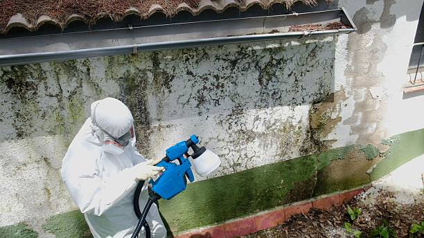 Top rated local Commercial Mold Remediation specialists in Paxinos, PA